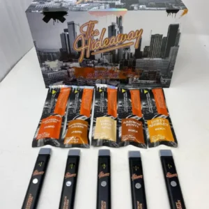 The Hideaway 2G Disposable